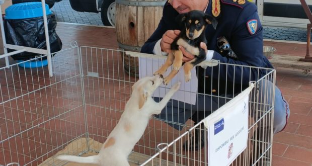 La “Carovana della sicurezza” fa tappa presso l’area di servizio Tevere Est