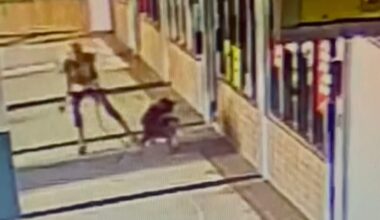 Orlando, donna morde un pitbull per salvare il suo cane. VIDEO