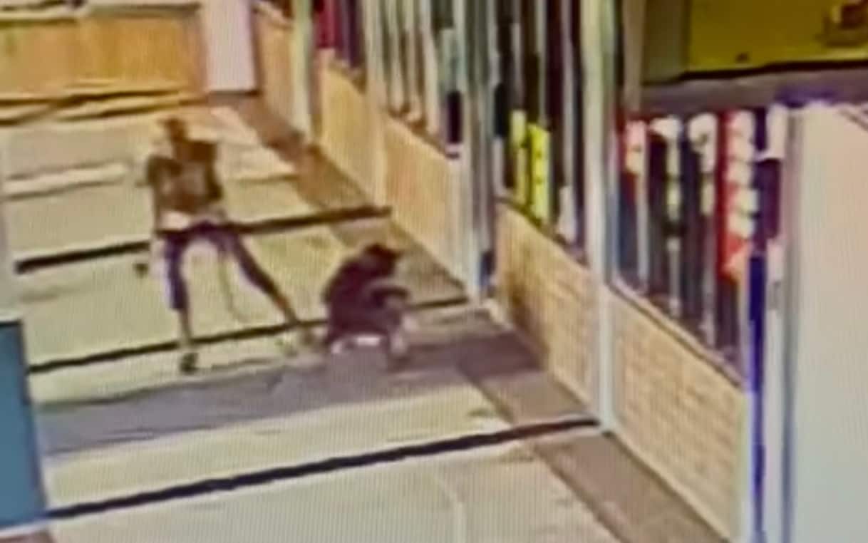 Orlando, donna morde un pitbull per salvare il suo cane. VIDEO