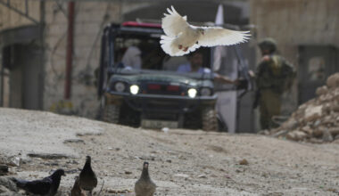 Check point israeliano a Tulkarem in West Bank