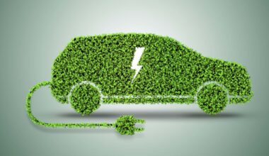 cos’è l’eco-score e perché fa paura