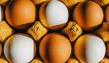 Quante proteine sono troppe? "Ecco qual è la dose giusta per te"