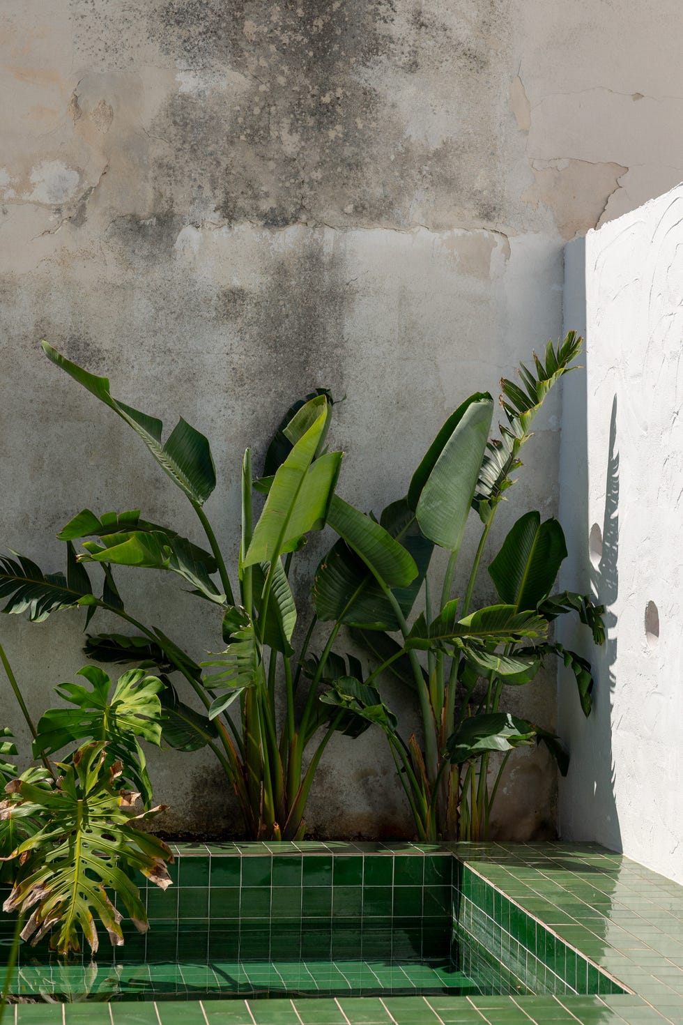 casa bellissima in puglia
