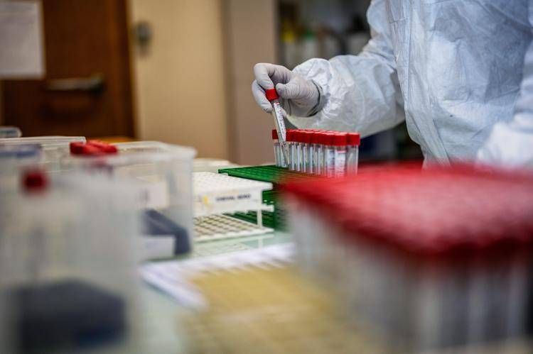 Covid in Italia, avanza variante Stratus: sintomi e contagi