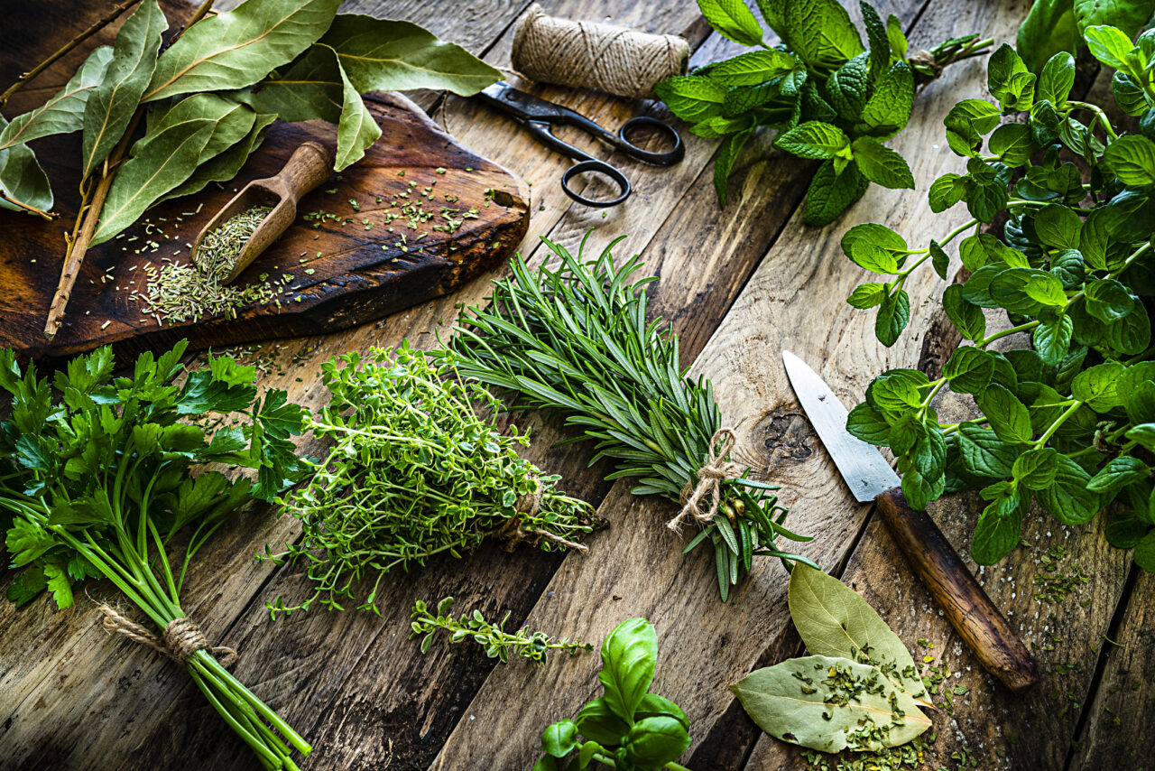 Origano proprietà e benefici: secco, olio, tisane, infusi