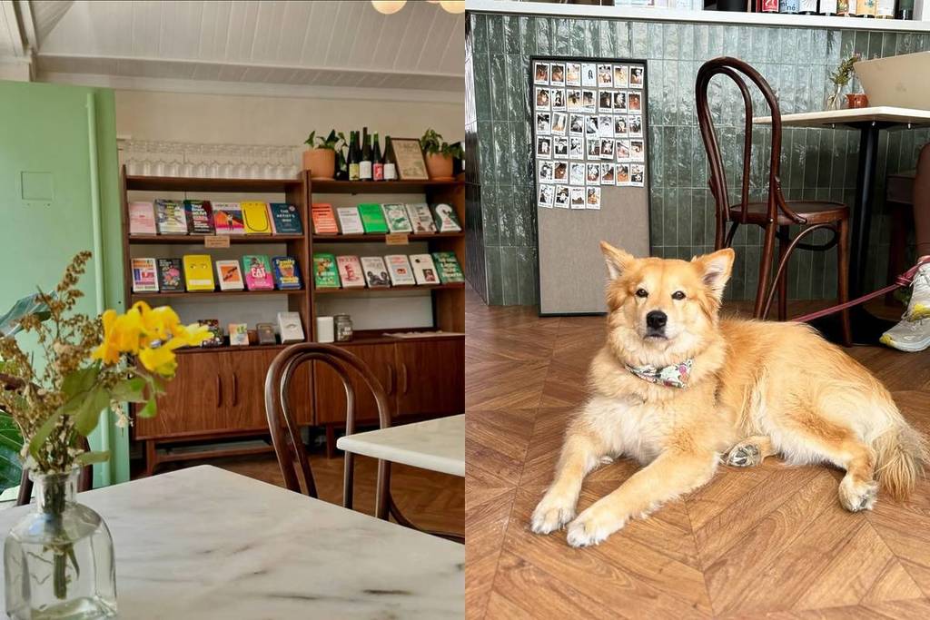 Fable é uma livraria-café pet friendly