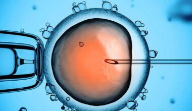 Fecondazione in vitro, perdere peso può aumentare le probabilità di gravidanza