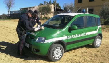 forestale con auto