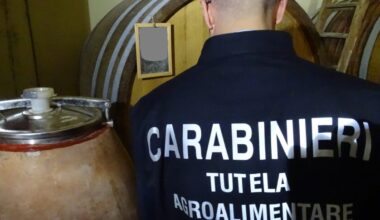 Truffa sullo zibibbo di Pantelleria, scatta il maxi sequestro per una società tedesca