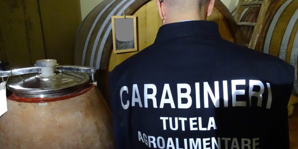 Truffa sullo zibibbo di Pantelleria, scatta il maxi sequestro per una società tedesca