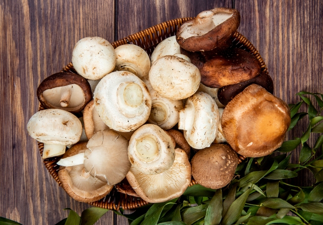 Raccolta funghi: punti di controllo micologico dell’azienda sanitaria aperti sino al 27 novembre