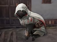 La gatta di uno youtuber è finita dentro Assassin's Creed Shadows