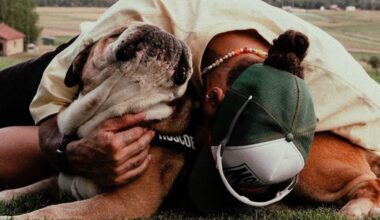 Hamilton, morto cane Roscoe: 'Accoglierlo nella mia vita è stata decisione migliore'