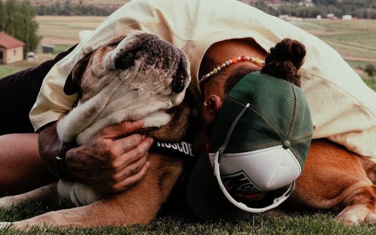 Hamilton, morto cane Roscoe: 'Accoglierlo nella mia vita è stata decisione migliore'