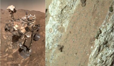 Marte, Nasa: 'Trovati possibili indizi di una vita passata da indagare'