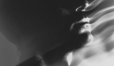 I Vedovi, libro da leggere assolutamente