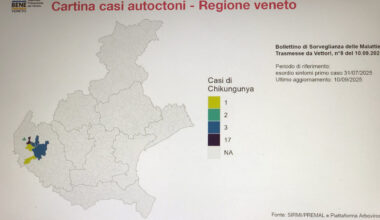 per contenerli serve l'aiuto dei cittadini