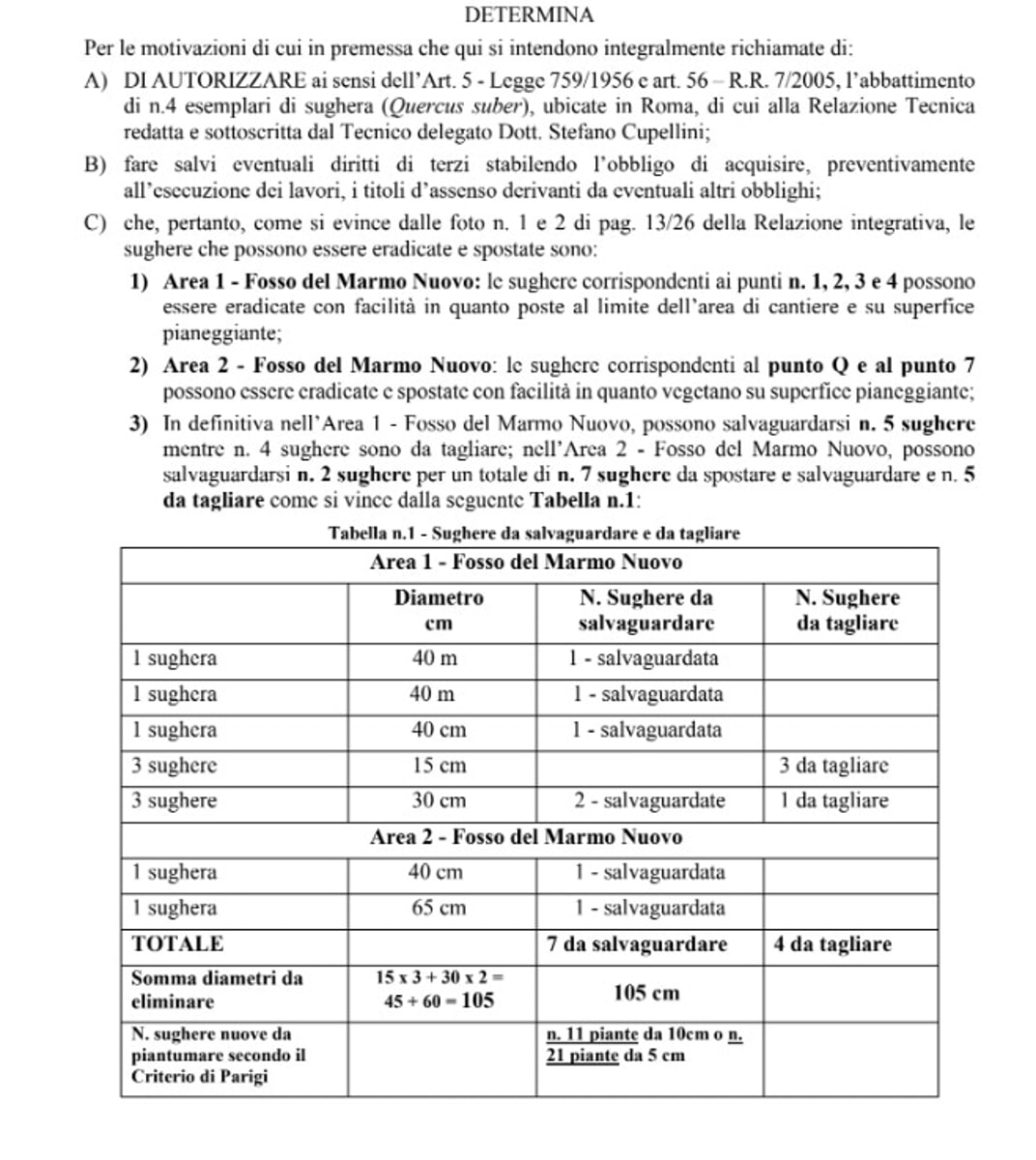 Il via libera della regione Lazio