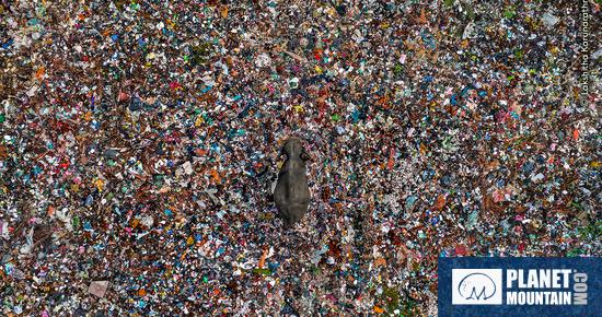 Wildlife Photographer of the Year 2025 rivela un'anteprima delle foto più belle della 61° edizione