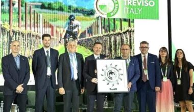 Treviso ottiene un finanziamento europeo per il progetto sulla mobilità ciclistica