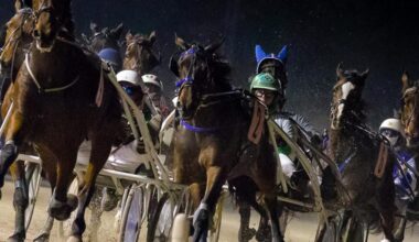 All’Ippodromo Sant’Artemio Gran Premio Città di Treviso e Festa del Rugby di Marca