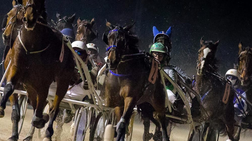 All’Ippodromo Sant’Artemio Gran Premio Città di Treviso e Festa del Rugby di Marca