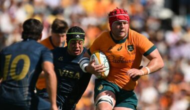 Foto Wallabies
