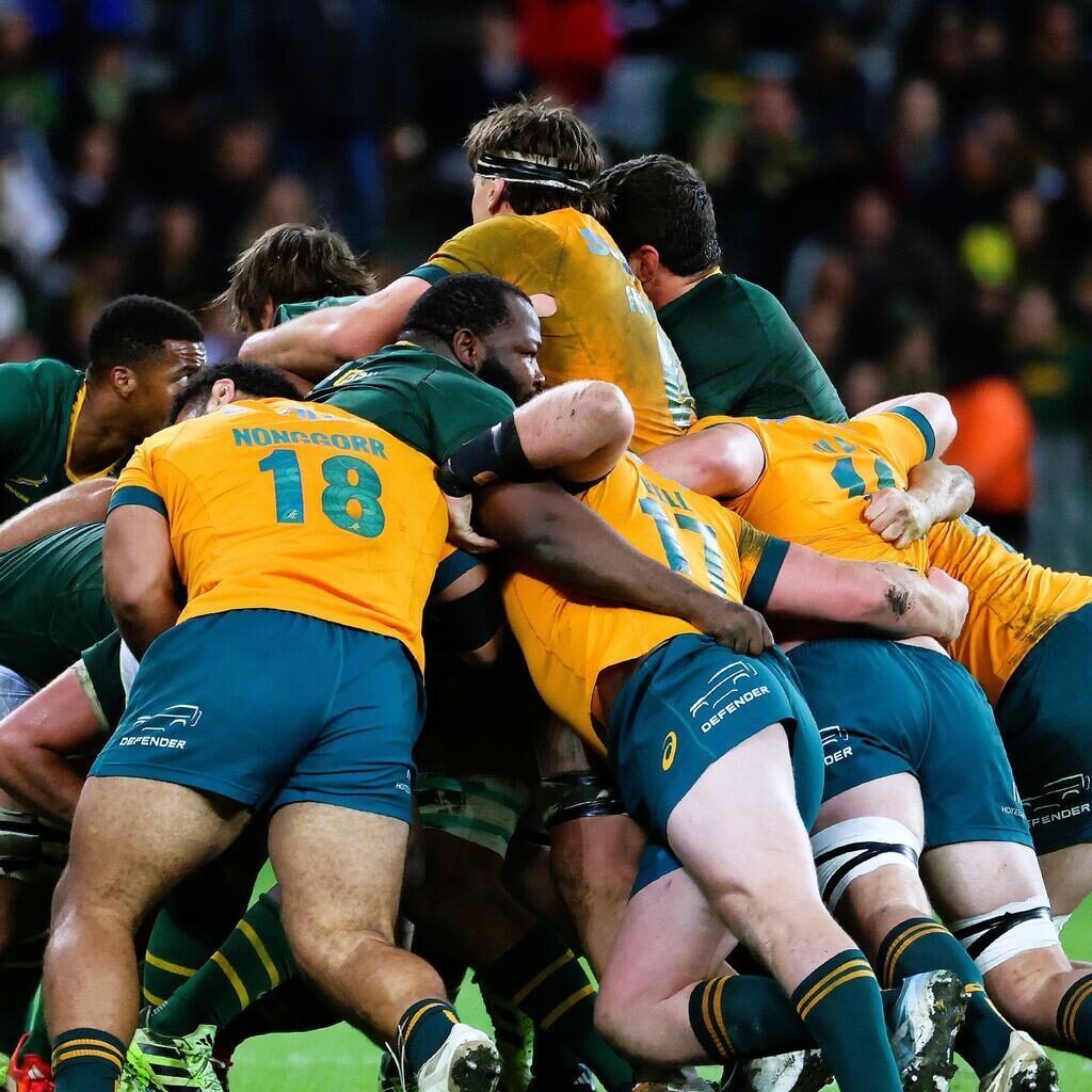 Foto Springboks