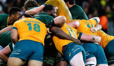 Foto Springboks