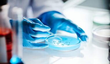 Candida Auris, fungo farmacoresistente si diffonde in Europa: sintomi infezione e cura