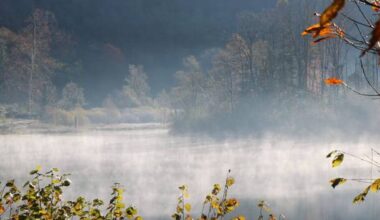 lago di ghirla autunno nebbia - foto di angela visalli
