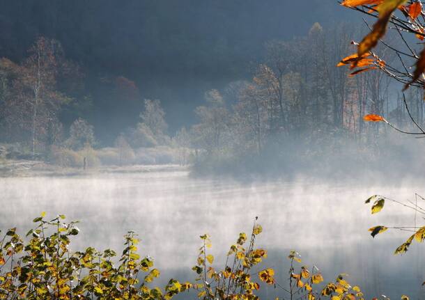 lago di ghirla autunno nebbia - foto di angela visalli