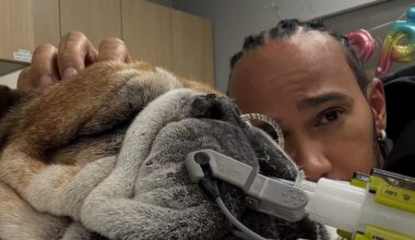 Hamilton, il cane Roscoe sta male e salta i test al Mugello: "Pregate per lui"