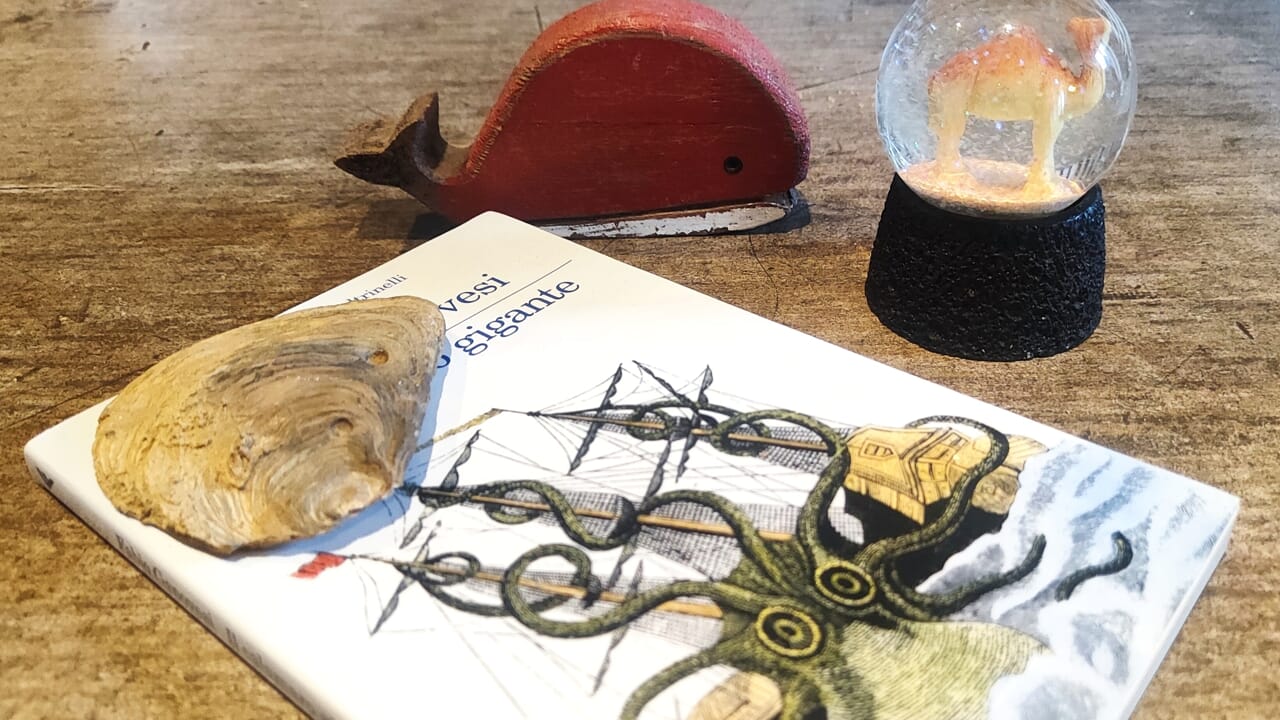Tre nuovi bellissimi libri da leggere nell'ultimo weekend d'estate