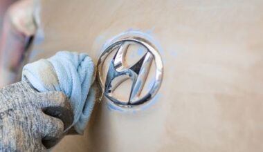 Hyundai spolpata da Genesis è in crisi. Neuville preoccupato