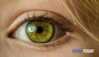 terapia genica, l’occhio diventa la “fabbrica” del farmaco