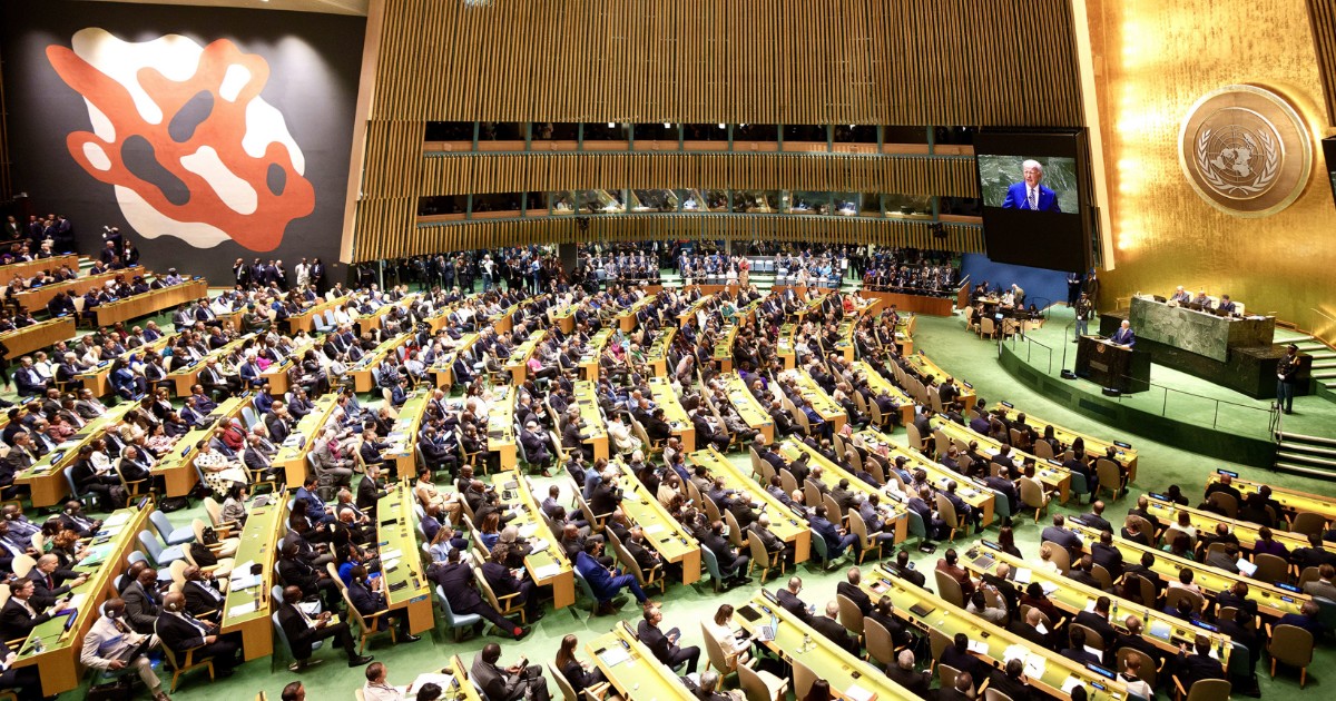 Genocidio a Gaza: la Commissione ONU certifica i crimini di Israele | Il Fatto Quotidiano