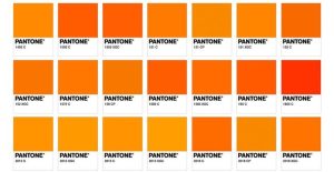 Come hanno fatto gli orange wine a passare da moda a feticcio?