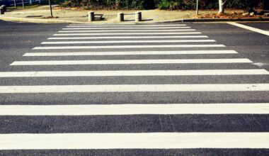 poliziotto-uccide-25enne-strisce-positivo-alcoltest