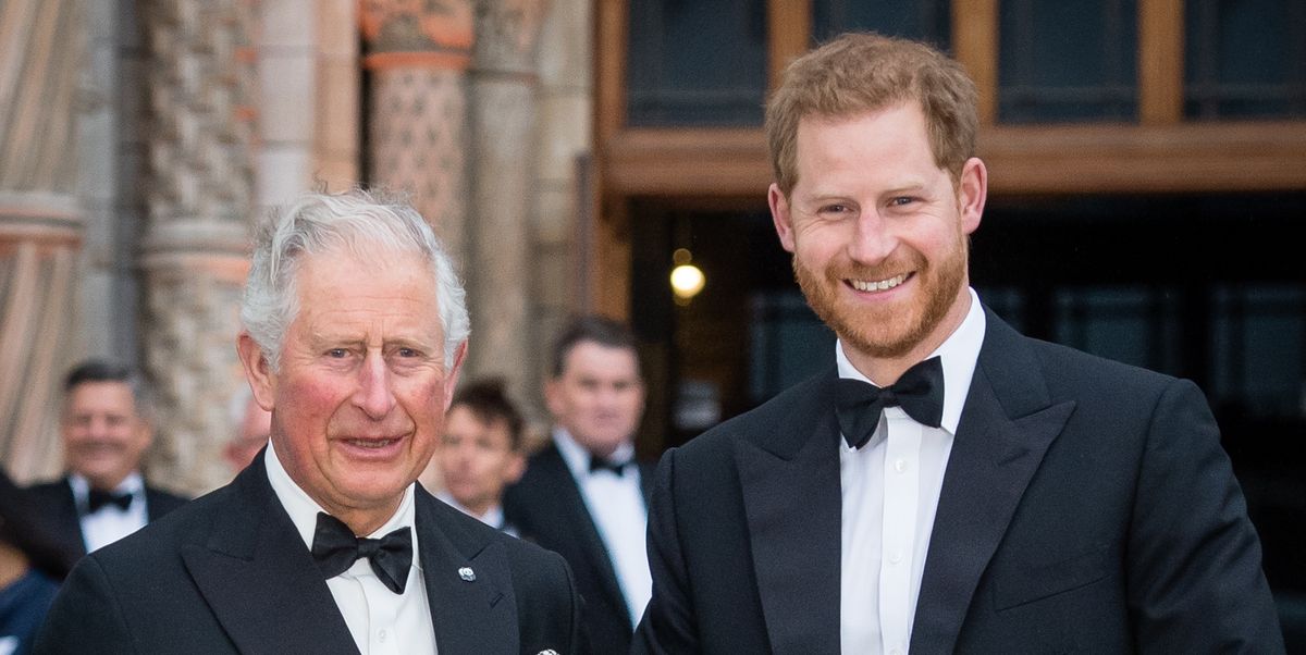 possibile incontro con Re Carlo?