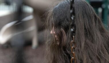 lo studio del Parlamento Ue