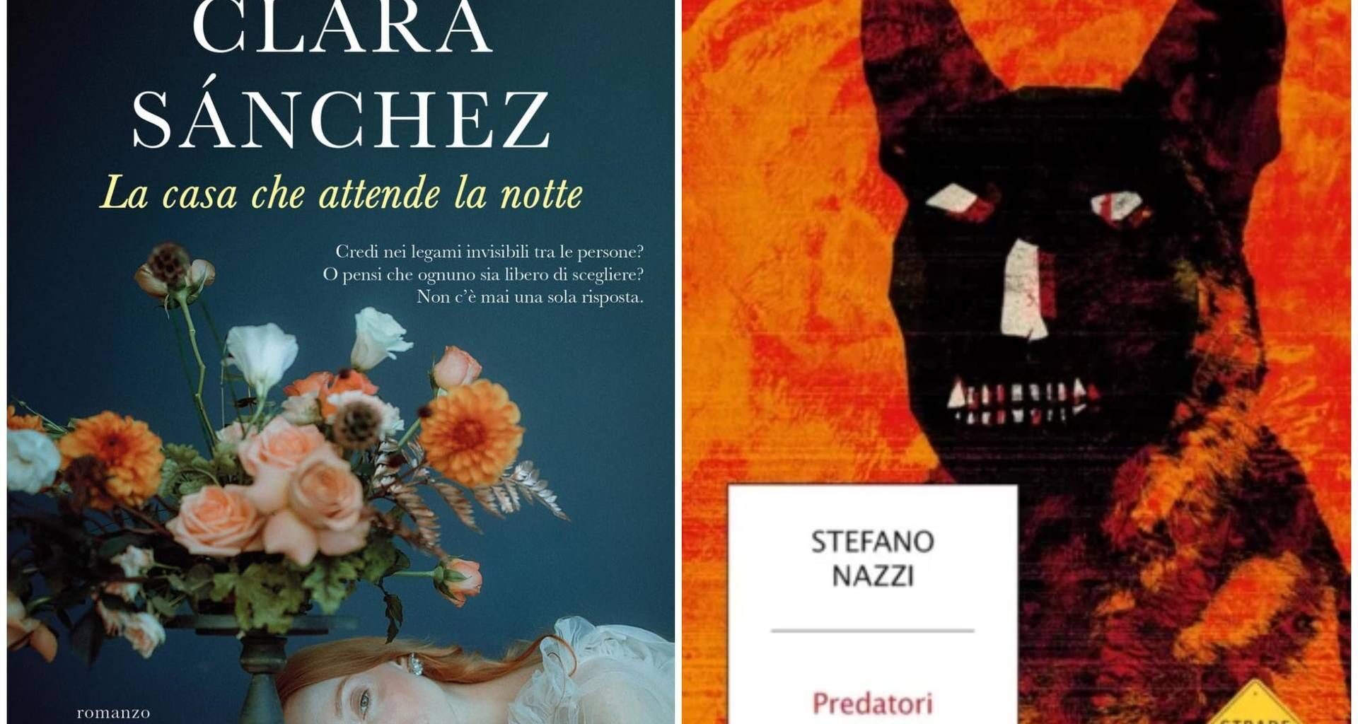 Il ritorno di Clara Sanchez e la mente dei serial killer di Nazzi, le novità in libreria
