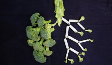 come corrompe le cellule immunitarie all’origine