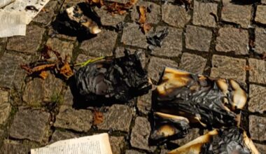 incendiata la casetta dei libri di Santa Maria