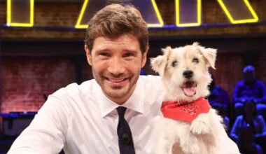 Ascolti tv del 16 settembre, Stefano De Martino e Luca Zingaretti coalizzati contro Canale 5