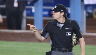 La grande storia della pallina da baseball nei romanzi americani