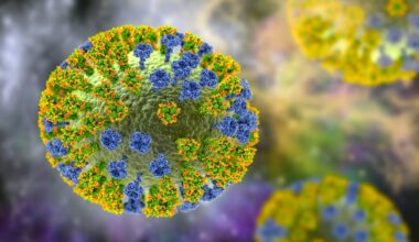 Da un mix di anticorpi un trattamento universale contro l'influenza