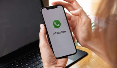 Le spunte WhatsApp cambiano ancora significato e colore: come evitare errori