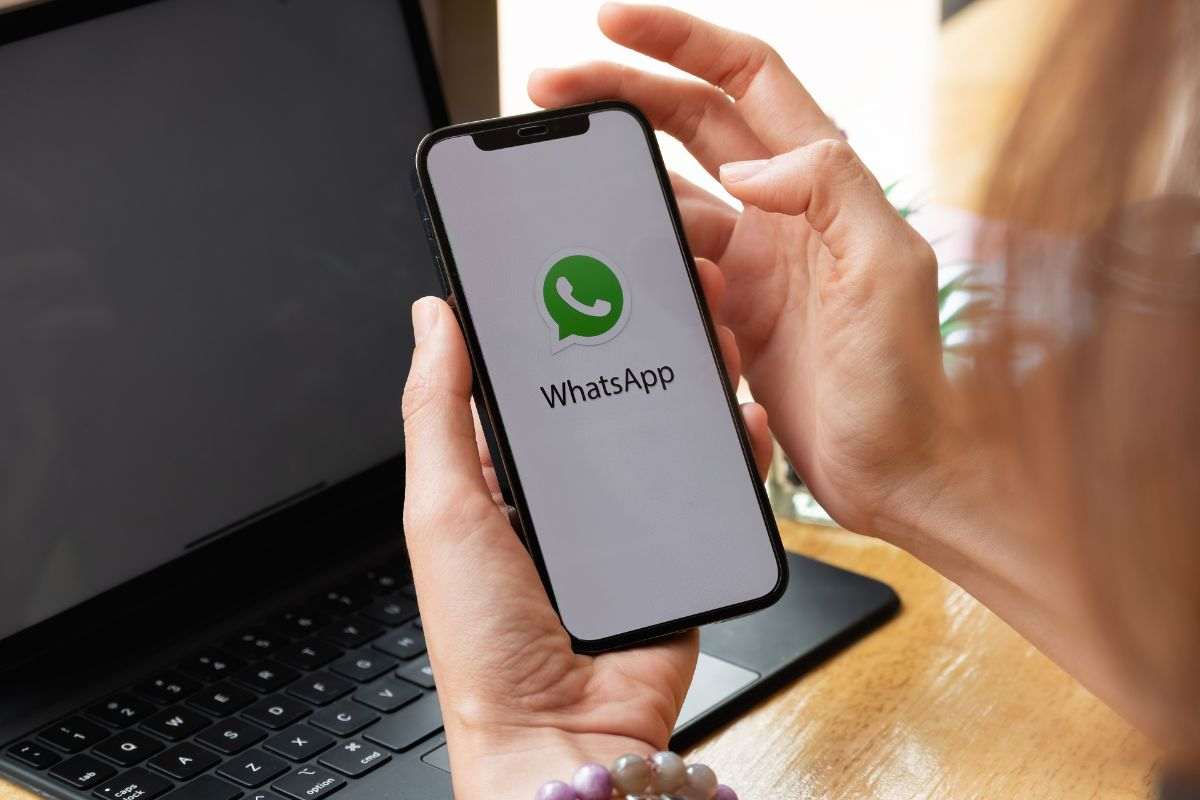 Le spunte WhatsApp cambiano ancora significato e colore: come evitare errori