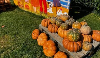 a Pontecagnano la spiaggia si vive anche d'autunno